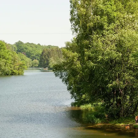 Cozy Holiday In With Sauna Semesterbostad Robertville